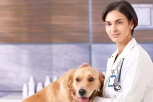 宠物得了癌症,我们应该如何和宠物主人沟通?