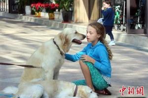 国际最新研究称,宠物狗或能改善幼童社交情绪发展