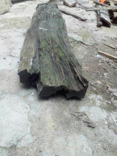 请问谁知道这个是什么木材?