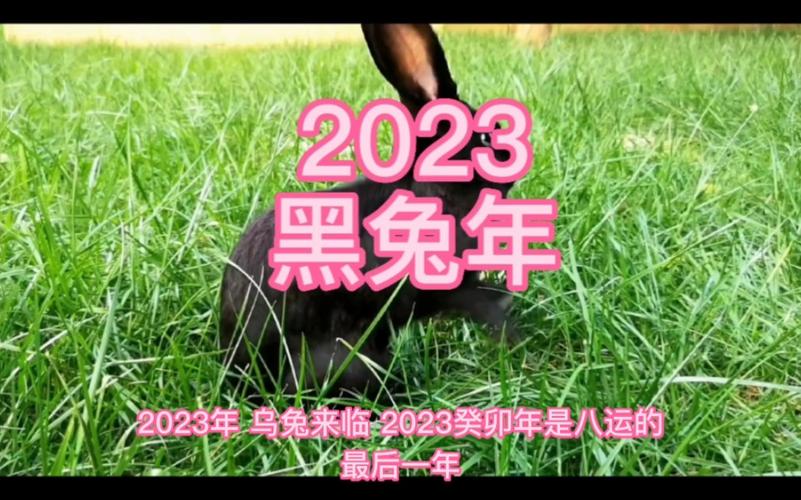 2023黑兔年需要注意什么呢?