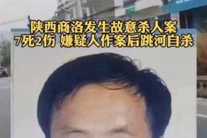 案件陕西男子因土地纠纷持刀行凶造成7死2伤的悲剧引人深思