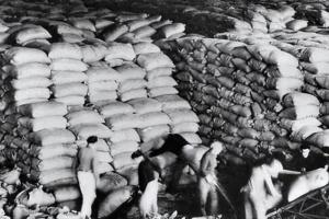 1972年,苏联爆发严重粮食危机,美国为何好心的