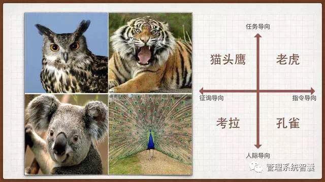 搬运四型人格分析从四种动物看人的性格pdp