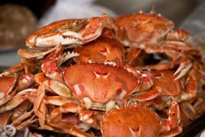 医生建议1顿饭吃螃蟹不超过2只过量吃螃蟹或诱发急性胰腺炎