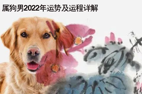 2023年属狗人的全年运势男性_2023年生肖运势_祥安阁风水网