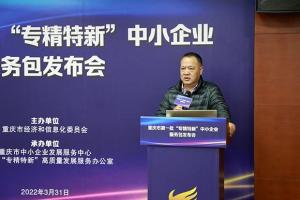 重庆市经济信息委二级巡视员,中小企业促进处处长刘群生在发布会上