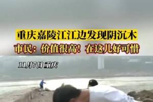 重庆嘉陵江江边发现阴沉木02市民已向派出所报案.