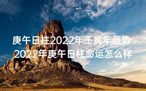 庚午日柱2023年壬寅年运势 2023年庚午日柱命运怎么样