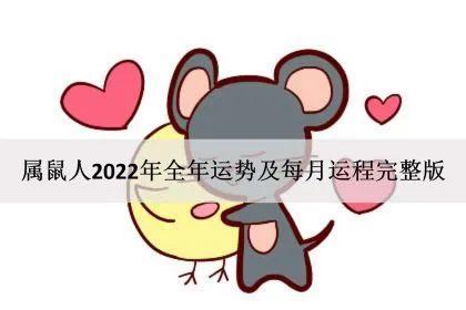 属鼠人2023年全年运势及每月运程完整版