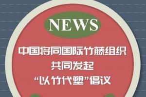 中国将同国际竹藤组织共同发起以竹代塑倡议