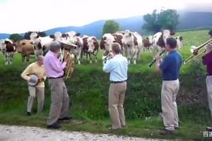 美国牛,是用债务喂大的,人们正在给牛弹琴唱歌